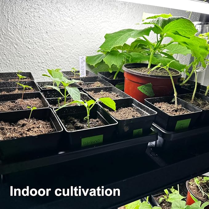 14 Pack Seed Starter Trays 15.3 x 11.4 inches Microgreens Growing Trays with Bottom for Germination Hydroponic &amp Sprouting Plant Trays for Garden Wheatgrass