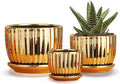 Ton Sin Gold Plant Pots4.1+5.1+6.5 Inch Ceramic Succulent Planters Set of 3 Mini Indoor Flower Pot with DrainageHandmade Decorative Ceramic Orchid and Herb Pots(Gold)
