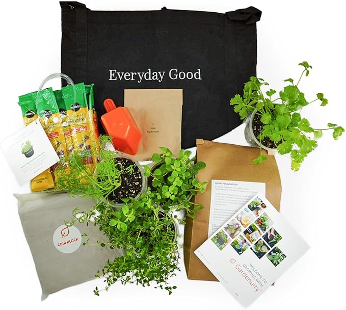 Gardenuity Everyday Good Garden – Live Bonnie Plants Miracle-Gro Pour &amp Feed Plant Food Soil &amp 5-Gallon Grow Bag – Patio Herb Garden Kit for Beginners