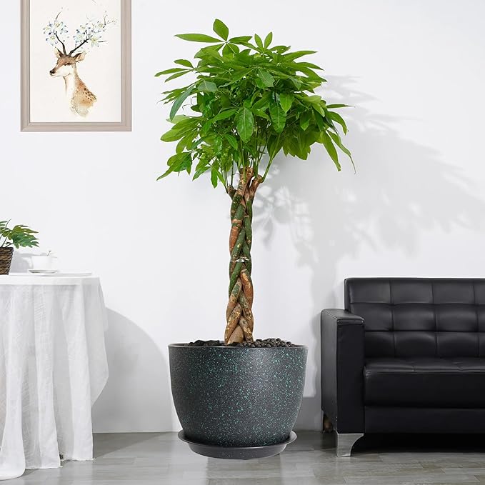 12/10/9 Large Modern Plant Pots Plastic Planters with Drainage Holes and Saucers for Indoor Outdoor Plants Flowers Black with Green Speckles