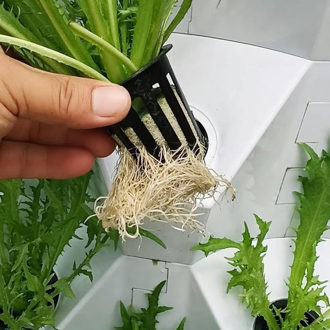 Hydroponics Tower Aquaponics Grow Aeroponics Growing Kit for Fruits and Vegetables with Hydrating Pump Timer Adapter Seeding Bed &amp