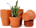 WOUSIWER 16 Pack 6 inch Plastic Planters Plastic Indoor Planter Flower Pots Heavy Duty and Stylish 6 Inch Plant Pots for Indoor Plants with Drainage Holes and Tray for Plants Flowers Terracotta