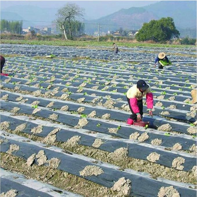 WGD Dimo 10m 0.008mm Mulch Film PE Black Plastic Mulch Garden Ground Cover Film Frost Protection Keep Warm Weed Control 1pcs (Size : 1.5M Width)