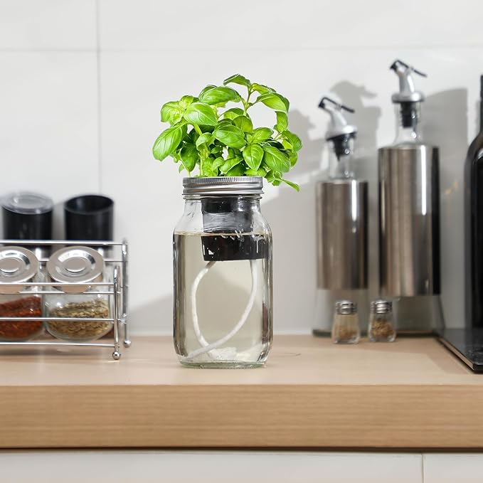 6 Set Hydroponic Mason Garden Jar Kit Self Watering Herb Hydroponic Planter Starter Kit with Net Pot Garden Flower Plant Growing Gift for Indoor Herbs Windowsill Gardening