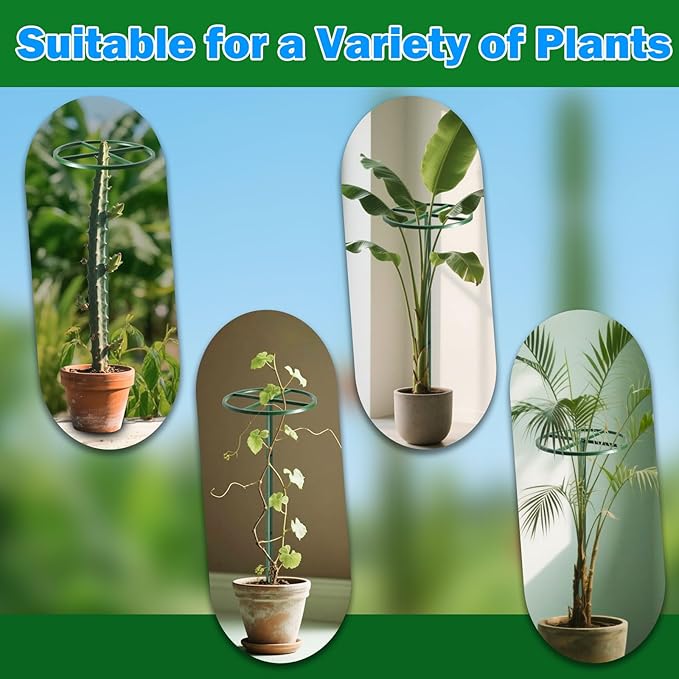 1 Pcs Adjustable Round Dragon Fruit TrellisDurable Metal Plant Trellis Outdoor Climbing Plants Support Frame for Vertical Gardening Trees Cactus Green