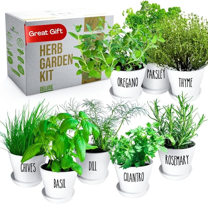 Deluxe Indoor &amp Outdoor Herb Garden Kit – 8 or the Most Popular Culinary Herbs with Pots &amp Soil for Windowsill or Patio Growing