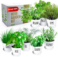 Deluxe Indoor &amp Outdoor Herb Garden Kit – 8 or the Most Popular Culinary Herbs with Pots &amp Soil for Windowsill or Patio Growing