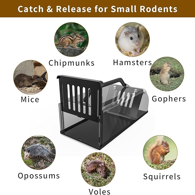 Humane Rat Trap Live Animal Trap Outdoor &amp Indoor Use Reusable Automatic Continuous Visible Mouse Traps Cage Small Rodent Trap for Mice Rats Chipmunks Easy Live Catch &amp Release