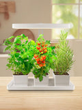 TORCHSTAR Indoor Herb Garden with LED Grow Light Height Adjustable 20W Growing System with Automatic Timer CRI 95+ Full Spectrum Plant Light for Seeds Vegetation Home White No Pots or Plants