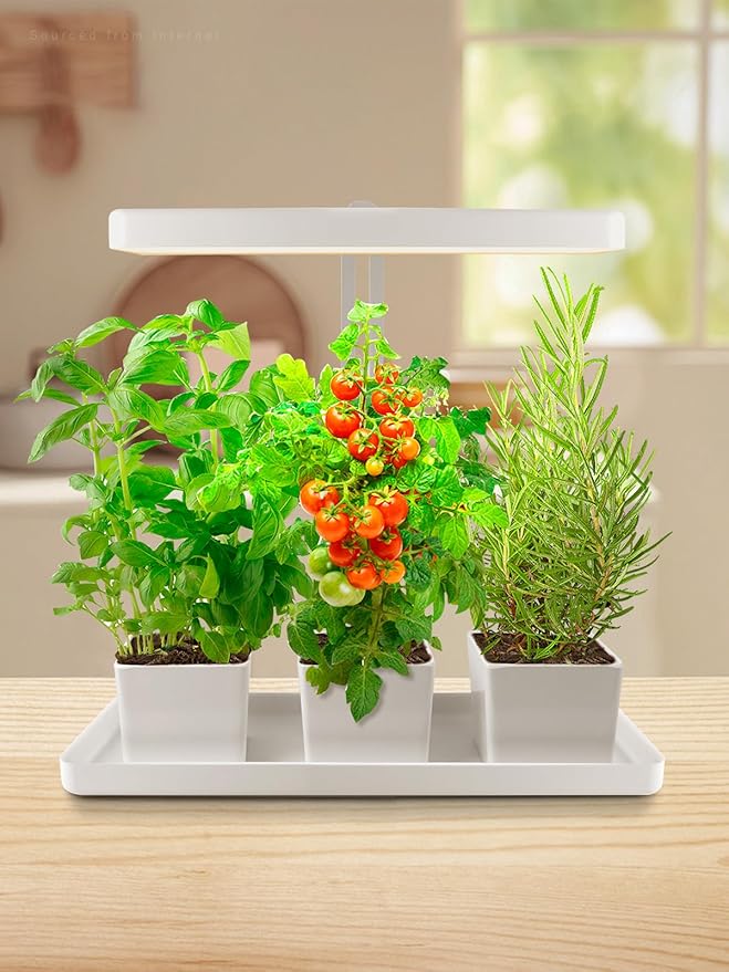 TORCHSTAR Indoor Herb Garden with LED Grow Light Height Adjustable 20W Growing System with Automatic Timer CRI 95+ Full Spectrum Plant Light for Seeds Vegetation Home White No Pots or Plants