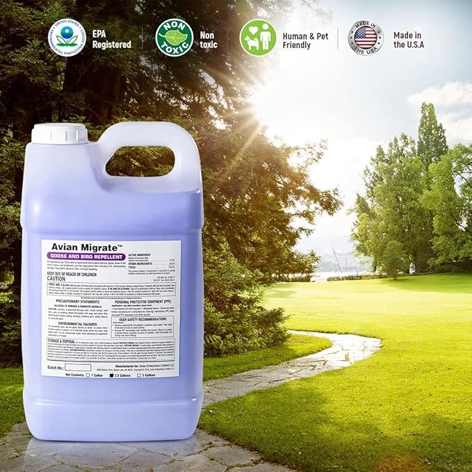 Goose Deterrent Bird Repellent Concentrate Geese Repellent Non-Toxic Removes Geese from Yards Parks Beaches Ponds and Ground Made in The USA (2.5 Gallon)
