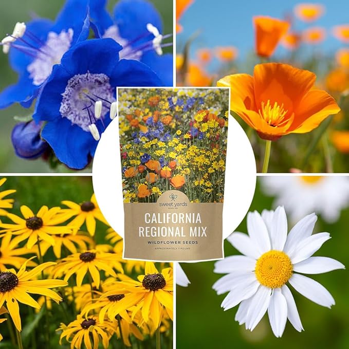 California Natives Mix - Bulk 1 Pound Bag - Over 120000 Native Seeds - Open Pollinated and Non GMO