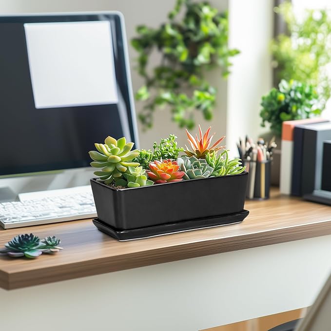 SQOWL Rectangle Planter - 10 Inch Ceramic Plant Pots with Drainage Hole and Saucer Rectangular Succulent Planters for Indoor Plants Flower Cactus Herb Pots Outdoor Room Decor Garden Gifts Black