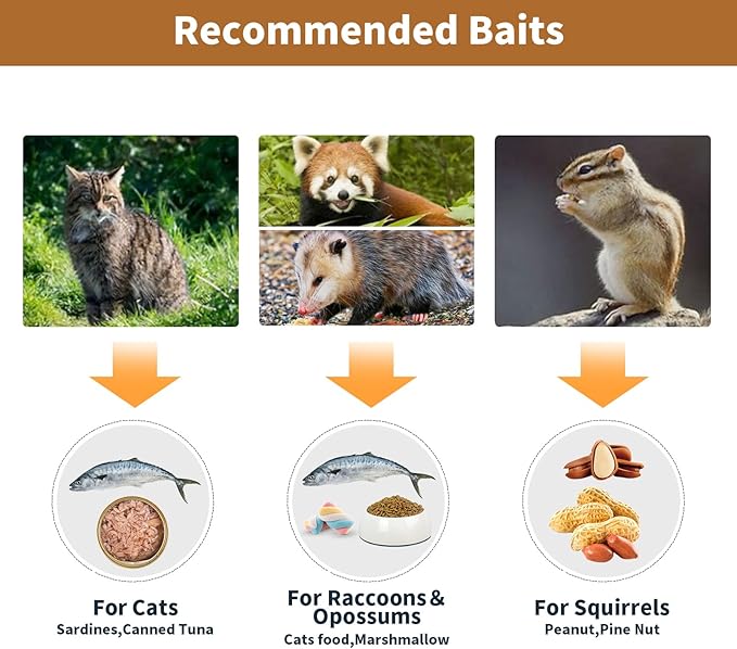 40” 2 Door Live Animal Trap Easy Set and Release Animal Trap Live Animal Trap Cage for catching Stray Cats Raccoons Squirrels Rabbits Moles Groundhogs Armadillos up to 17.6 lbs