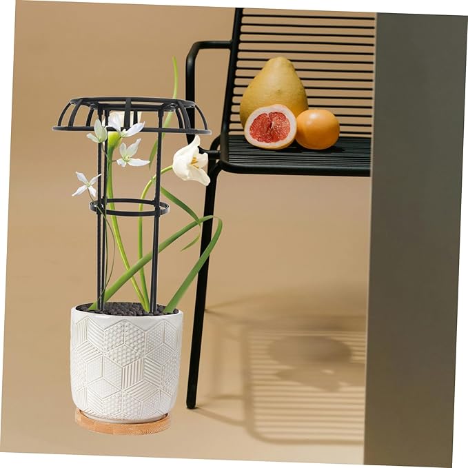 Climbing Flower Stand Garden Trellis for Potted Plants Metal Rack Support for Climbing Vines