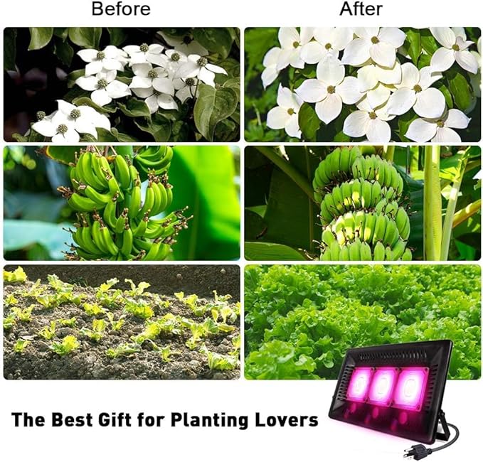 Kolem LED Grow Lights 450W Outdoor Grow Light Full Spectrum Plants Light Waterproof Natural Heat Dissipation No Noise LED Grow Panel Light for Indoor Plants Greenhouse Garden(Gift Hooks)