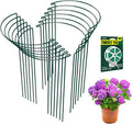 12 Pack Garden Plant Support Stakes Half Round Peony Cages and Supports Metal Garden Support Ring Border Support for Outdoor Indoor Plants Peony HydrangeaTomato Monstera