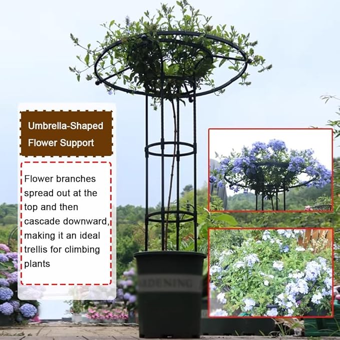Garden Trellis Garden Umbrella-Shaped Trellis for Climbing Plants Potted Plant Climbing Support Frame Plant Support Frame Suitable for Tomatoes Cucumbers and Potted Plants(125CM)