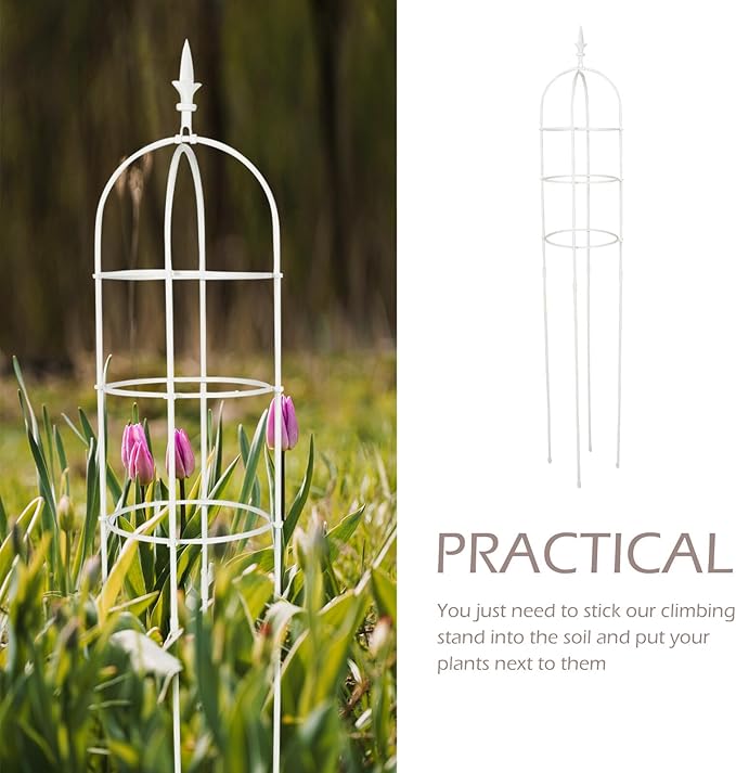 Metal Plant Climbing Trellis for Garden and Balcony Climbing Plants Support Rack with 31cm Diameter Rings and 1.6m Height for Outdoor Growth
