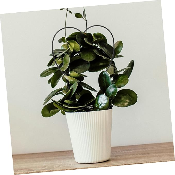 VICASKY 4pcs Indoor Plant Trellis Heart Plant Stake Iron Garden Trellis for Climbing Vines Flowers