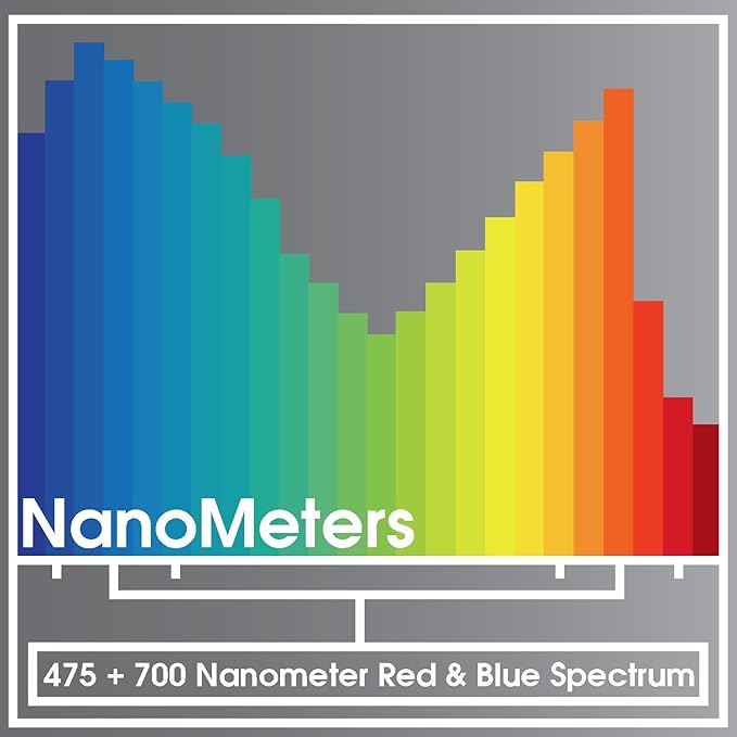 Miracle LED 2-Socket 450+660NM Nanometer Indoor Grow Light Kit - 12W Red&ampBlue Spectrum Replaces 150W - Grow Light Bulbs for Vegetables Herbs Hydroponics &amp with SproutMatic Timer (1-Pack)