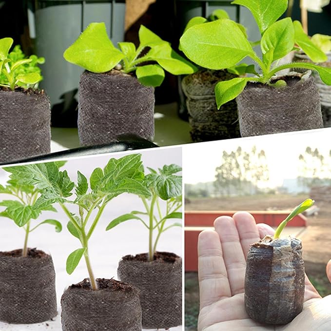 Potting Soil - Organic Peat Rooting Pellets Compressed Plant Fertilizer Discs with Nutrient Rich Formula Fast Expansion Function Ideal for Vegetable Flower Tree Cactus Orchid Bonsai Citrus