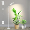 Large Plant Lights for Indoor Growing 24V 660nm-Enhanced Full Spectrum LUMILEDS LED Grow Light 8.1in Grow lamp with Timer &amp Dimming Adjustable Height 22-70in 20W K20-W