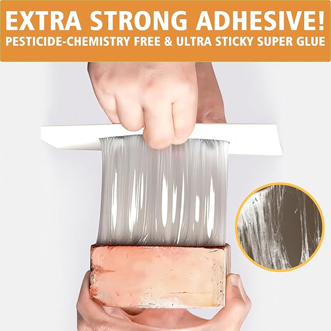 Mouse &amp Insect Glue Boards 38PKSticky Rat Mouse Traps Indoor for HomeAdhesive Tray Cockroach Pest Control for Scorpion SpiderCricket MiceBulk Glue TrapsPet Family Safe