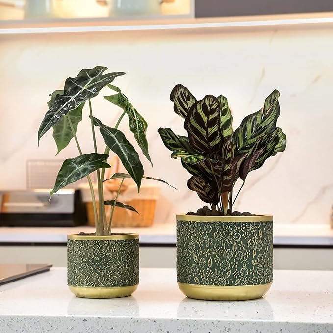 6 +4.4 Inch Cement Planter Decorative Pots with Drainage Hole for All House Plants Succulents Flowers and Cactus (Green)
