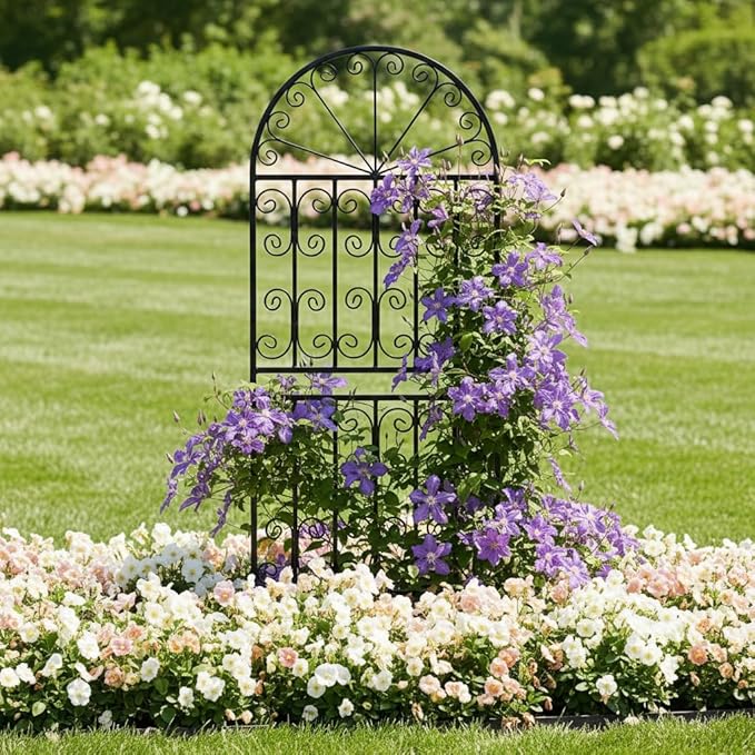SCENDOR 59 H x 22 W Arched Metal Garden Trellis with Scrollwork Rustproof Iron Plant Support for Climbing Roses Clematis &amp Vines Decorative Garden Screen for Lawn &amp Backyard 1 Pack