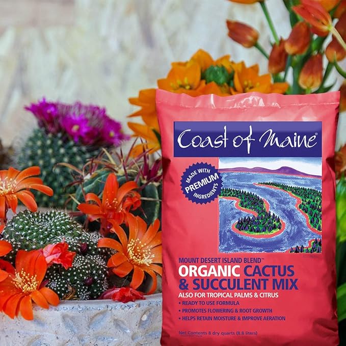 Coast of Maine - Mount Desert Island Blend - Organic Cactus and Succulent Mix 8qt