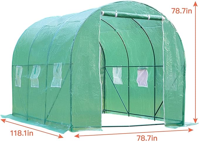 Greenhouse for Outdoors Greenhouse Walk-in Green House L10'xW7'xH7' Plastic Mini Greenhouse Kit Indoor Portable Greenhouse Plant Shelves Tomato Herb Canopy for Patio