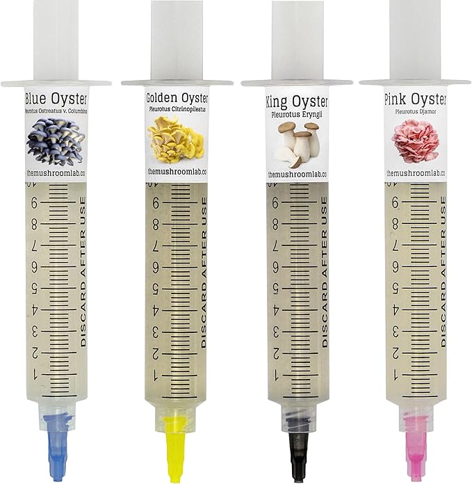 Oyster Mushroom Liquid Culture Syringes - 4 Pack