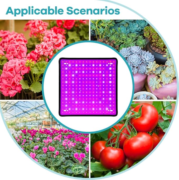 2Packs 250W LED Plant Lamp 100-277V Planting Greenhouse Hydroponics Red Blue Grow Lamps 110V Vegetable Bonsai Fruit Seeding Lights Potted Succulent Moss Cactus Cultivation Lighting with Hook US Plug