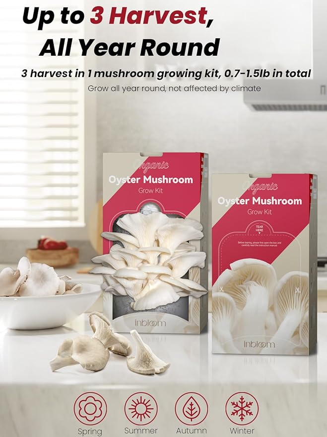 inbloom Organic Oyster Mushroom Growing Kit with Spray Harvest Fresh Mushrooms at Home Beginner Friendly &amp Easy to Use Unique Gardening Gift for Holiday Handmade in New Jersey USA