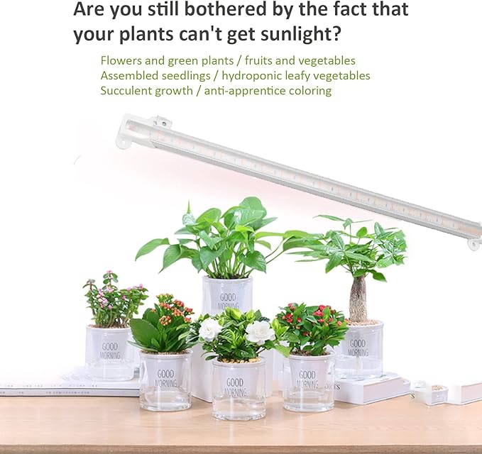 Solar Grow Lights for Outdoor Indoor Plants LED Grow Light Strip Plant Growing Lamps with 1-10 Level Control Switch for Balcony Greenhouse Herbs Vegetables Flowers(10W)