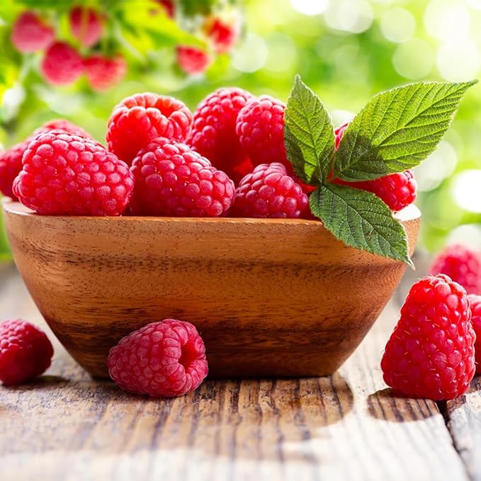 4 Mixed Raspberry Plants Live 5-9 Inch Tall Raspberry Fruit Trees for Outdoor Growing Raspberry Seedling