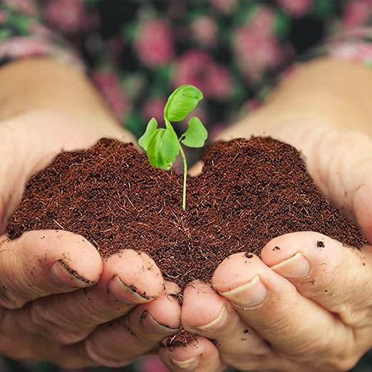 Home and Country Triple Washed Compressed Coco Coir Brick (40 LBS) - Coco Fiber is an Ideal Compost Starter for Your Home Garden. Coco Coir Bricks Provide Organic Alternative to Peat Moss for Plants.