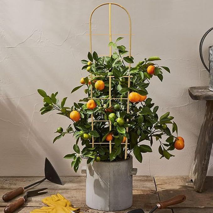 5 Pack 4 Feet U-Shape Bamboo Trellis Natural Bamboo Trellis for Climbing Plants Vegetables Cucumber Tomato Outdoor and Indoor Potted Plants