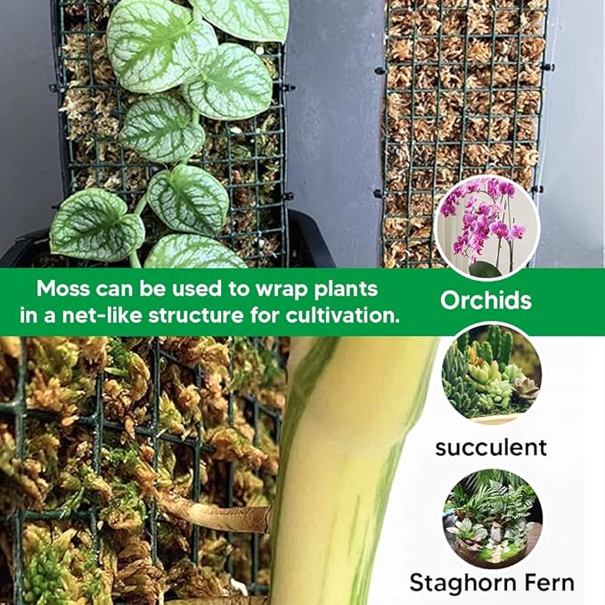 Natural Long Fiber Sphagnum Moss 1196QT for Orchid Potting Mix and Moss Pole for Plants Indoor. Ideal for Propagating Plants Maintaining Humidity for Reptiles Isopods in Paludarium (22 lb)