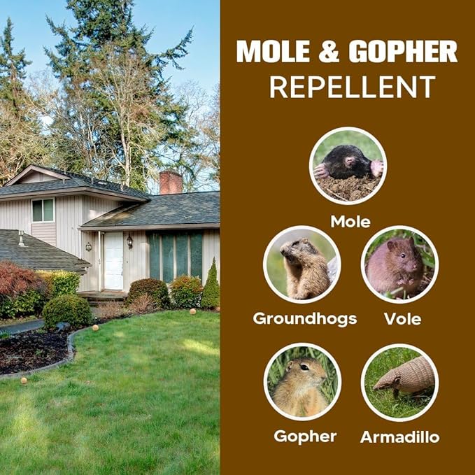 Mole Repellent Gopher Repellent Groundhogs Repellant Outdoor Vole Deterrent Armadillo Repellent for Lawns Keep Mole Out of Yard Get Rid of Gophers Covers Up to 120 Sq Ft-10Pcs