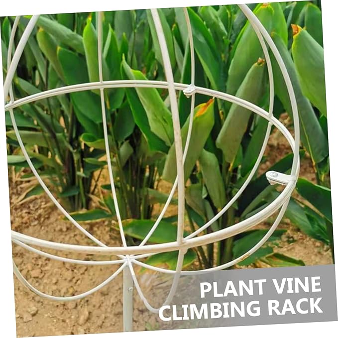 POPETPOP Iron Plant Support Bracket Planter Trellis for Vines and Roses Metal Trellis for Garden