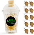 Chinese Praying Mantis Ootheca Egg Case with Hatching Habitat Transparent Cup - Ten Egg Case - Beneficial for Stem Education and Gardening Egg Case Produces Approximately up to 400 Baby Nymphs