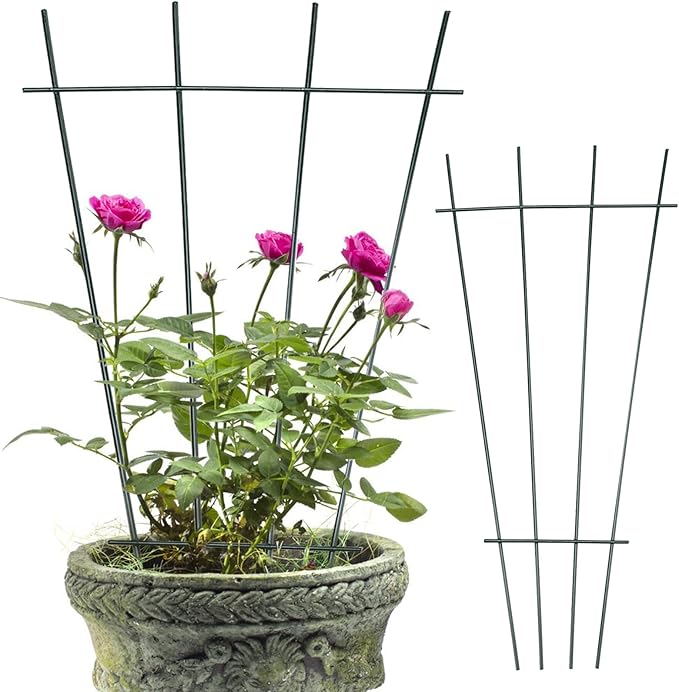 Flueyer 4 Pcs Plant Trellis for Climbing Plants Indoor Green Coated Fan Pot Trellis Metal Flower Support Garden Trellis Frames for Indoor Outdoor Vines Flower Vegetable