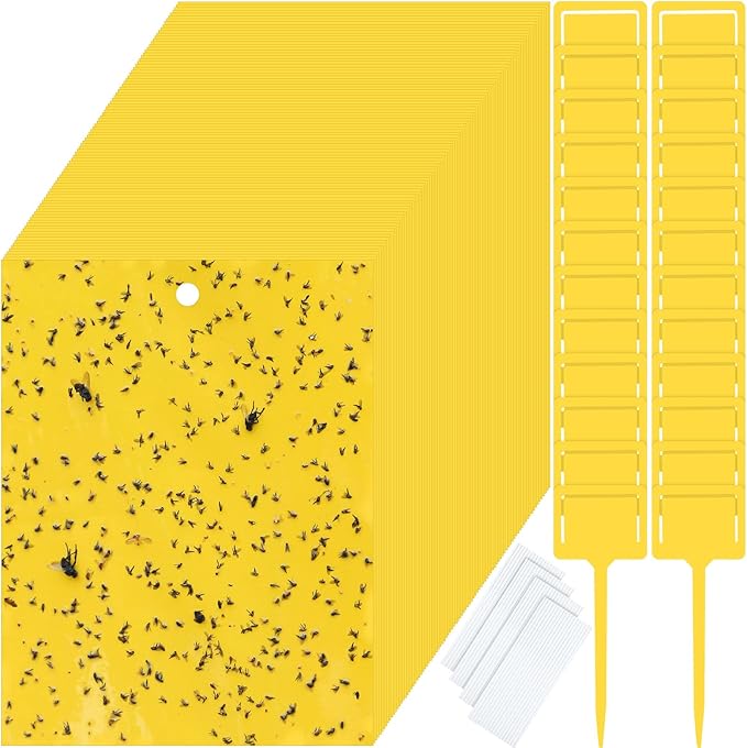 Qualirey 150 Pcs 6 x 8 Inch Sticky Traps for Gnats Dual Sided Fruit Fly Sticky Traps for Indoor and Outdoor Plant with Twist Ties and Plastic Holders for Flying Plant Insect Fungus Gnats (Yellow)
