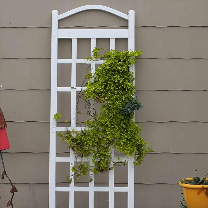 Dura-Trel Cambridge Vinyl Trellis Outdoor Plant Support Frame 28 x 75 White - Decorative Grid-Style Lattice for Climbing Vines &amp Flowers Use Against Walls Fences or Freestanding