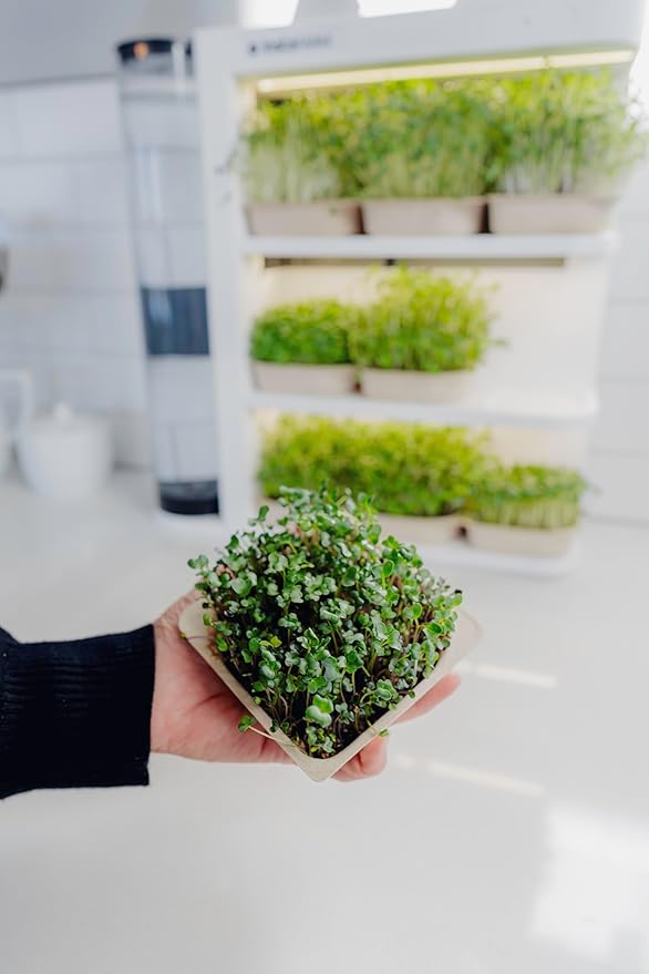 Indoor Garden Fully Automated LED Growing Unit for Microgreens Herbs Leafy Greens Organic Soil-Based Low/No Maintenance Easy Standalone Unit Designed &amp Assembled in The USA
