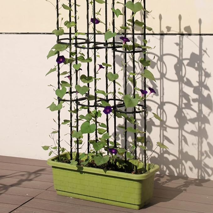 Large Garden Plant Support Cages Metal Obelisk Garden Trellis for Outdoor Potted Climbing Plants Roses Cirle Rings Hoops Stakes Plant Cage (Color : White Size : 90cm)