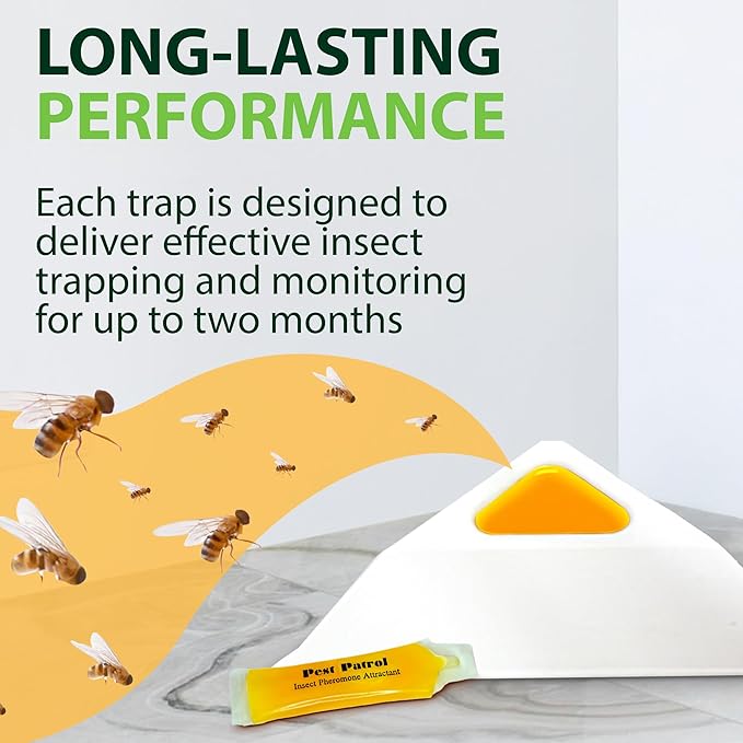 Greenway Pantry Patrol Traps Non-Toxic Pantry Moth and Insect Control Gel-Based for Flour Beetles Grain Storage and Kitchen Use 6 Packs (Includes 12 Traps and 12 Lures)