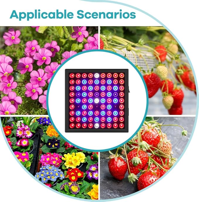 100W Indoor Grow Planting Lamps AC100-277V Full Spectrum Red Blue Hydroponic Seedling Growth Lights 81s Indoor Fruit Flower Planting Lighting UV/IR Red and Blue Lamp Hydroponic Potted Moss US Plug